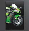 Kawasaki ZX10R Glowing Frame | Ninja Glowing portrait | The Glow Frame Co.